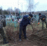 В Комаричском районе жители населённых пунктов Игрицкого поселения  приняли участие в  акции «Всем миром» - Газета Верный путь
