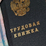 В Брянской области вырос размер пособия по безработице - Газета Верный путь