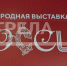 Губернатор Александр Богомаз принял участие в стратегической сессии на выставке-форуме «Россия» - Газета Верный путь