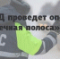 Госавтоинспекция МО МВД России «Севский» информирует о проведении на территории региона ОПМ «Встречная полоса» - Газета Верный путь