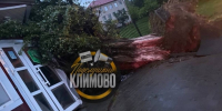 Глава Климовского района Исаев призвал жителей быть осторожными после урагана - Газета Верный путь