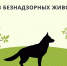 Отлов безнадзорных животных специализированной организацией.. - Комаричский район