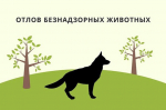 Отлов безнадзорных животных специализированной организацией..
