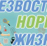 Комаричанам рассказывают: забота о здоровье – выбор каждого! - Газета Верный путь